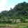 280811_TNTN_-Rungcongdong-