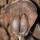 050213_TN_thong7