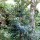 281212_TN_Tung1