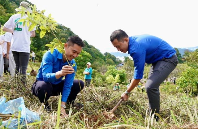 This tree planting event is part of a greater effort to restore the forest ecosystems between the northern Hòa Bình and S?n La provinces (Photos courtesy of PanNature)