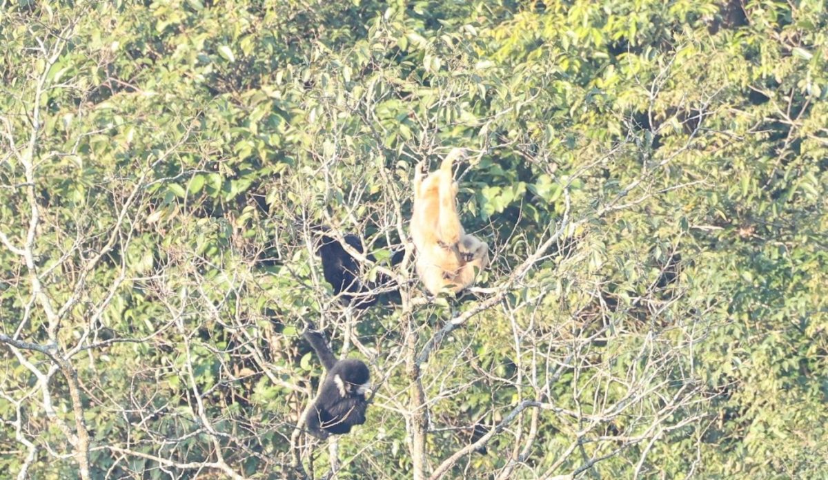 z7682672673616_ff81d0c9e04205fffa4c6f2ebc5fbd61